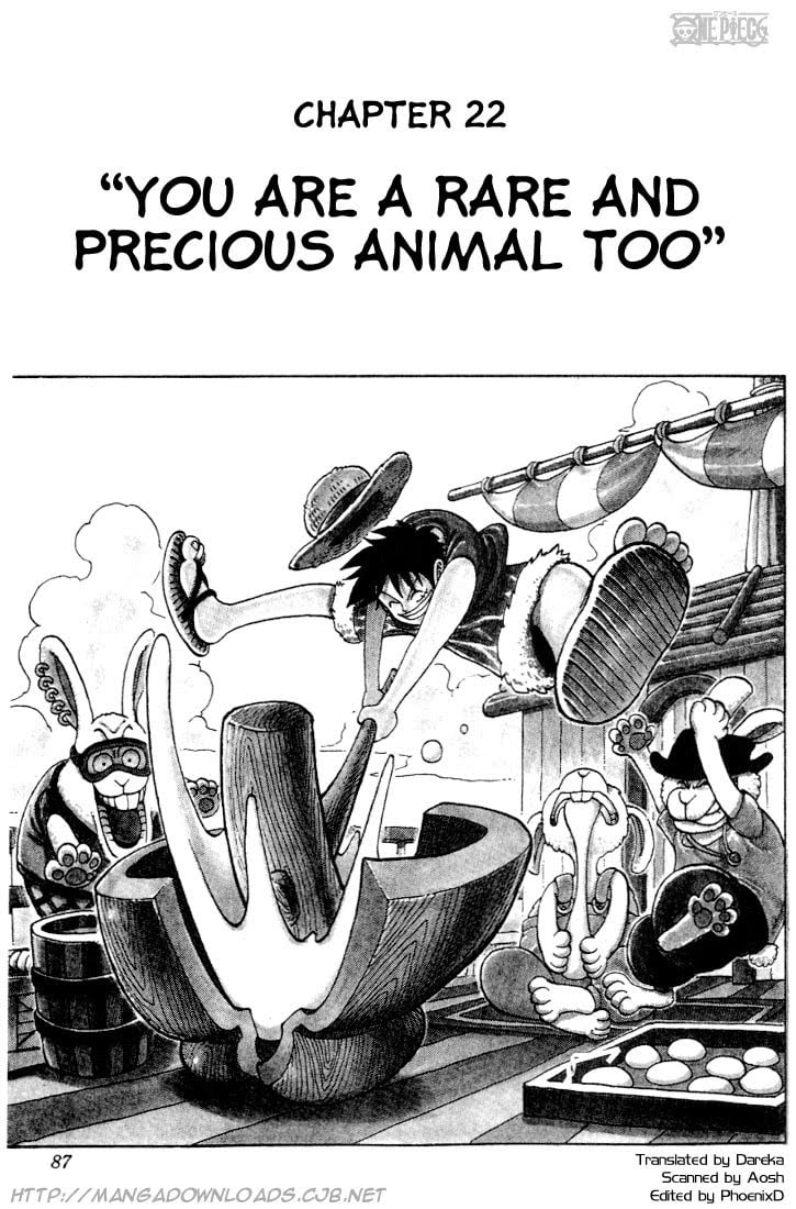 One Piece, Chapter 22 image 01
